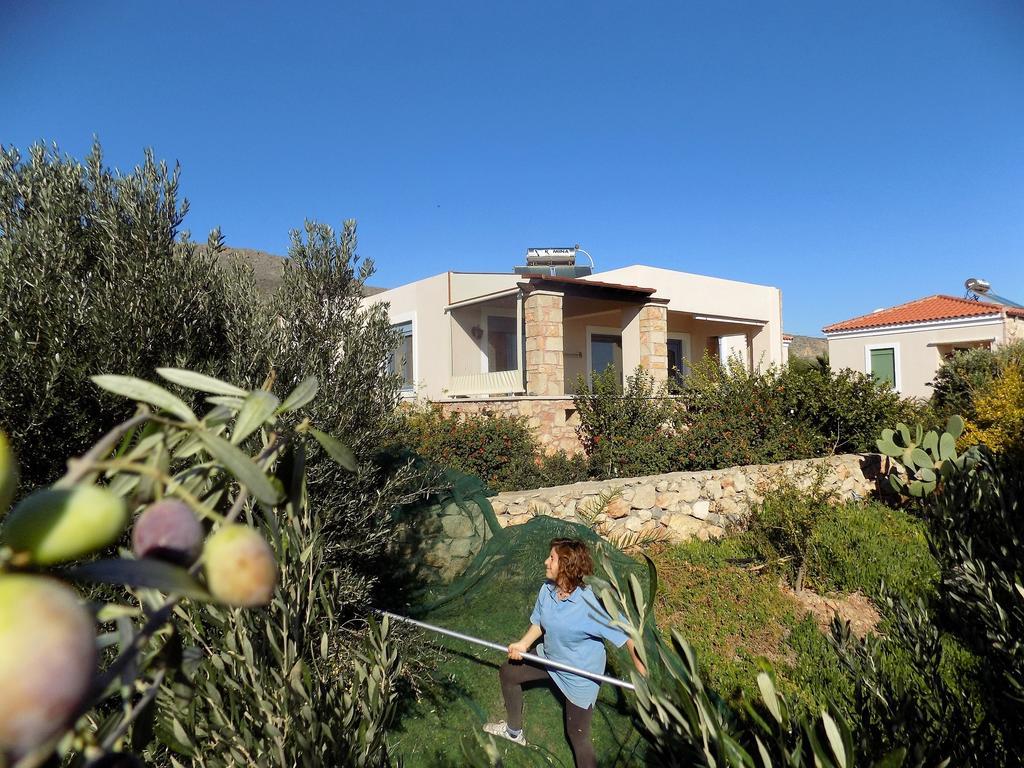 Alkionides Villas Xerokampos  Extérieur photo